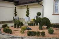 IMG 0965