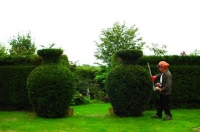 72985794 topiary10580x384