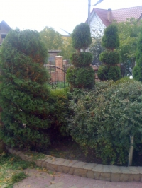 IMG 0545
