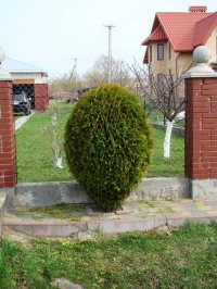 v1