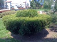 IMG 0455