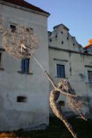 IMG 6089