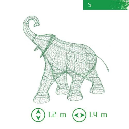 site11