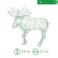 site15