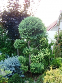 30