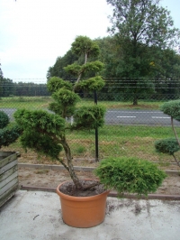 DSC09469