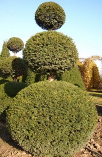 657-0