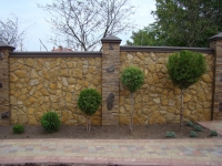 DSC00020