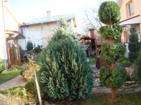 DSC00674