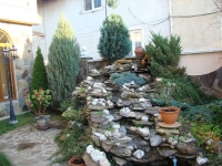 DSC00682
