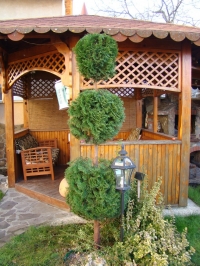 DSC00686