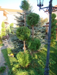 DSC00712