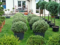 DSC09497