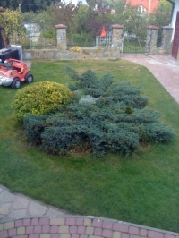IMG 0552