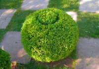 PICT1068.jpg
