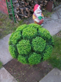 PICT1087.JPG