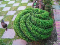 PICT1321.JPG