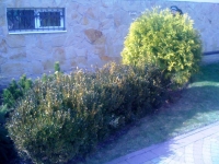 kyl3