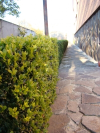 DSC00698