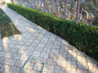 DSC00700
