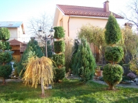 DSC00669