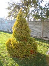 DSC00694