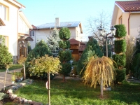 DSC00670