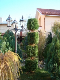 DSC00671