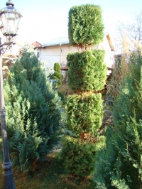 DSC00673