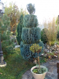 DSC00689
