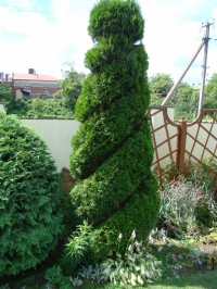 110
