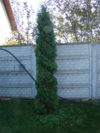 DSC00654