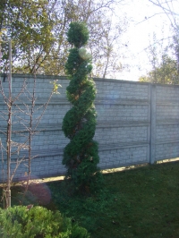 DSC00656