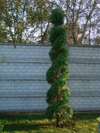 DSC00660