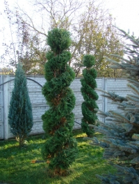 DSC00668