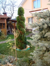 DSC00678