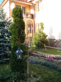 DSC00679