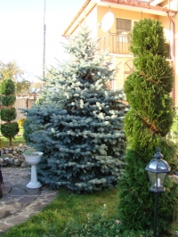 DSC00681