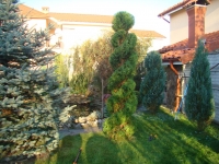 DSC00708
