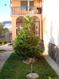 DSC00710
