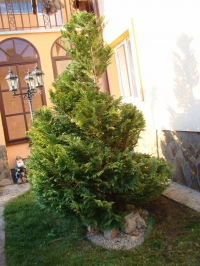 DSC00711