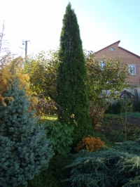 DSC00783