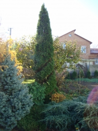 DSC00785