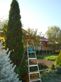 DSC00789