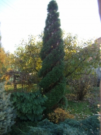 DSC00801