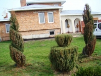 s2